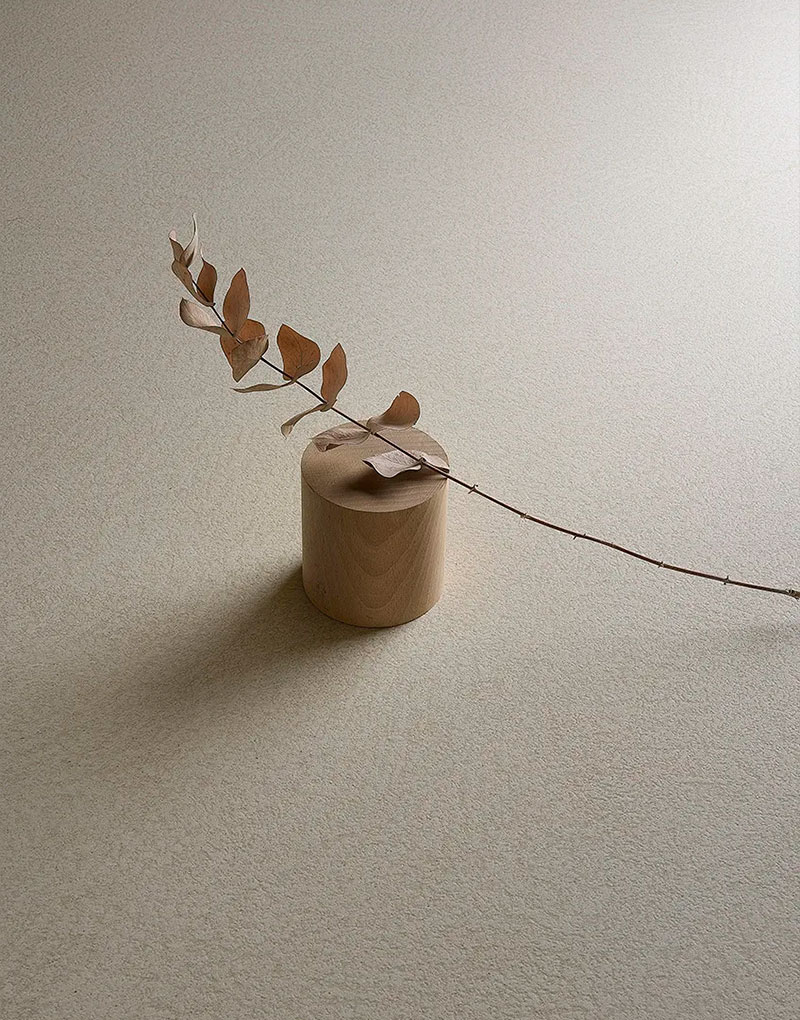 Plaster-Bone-02